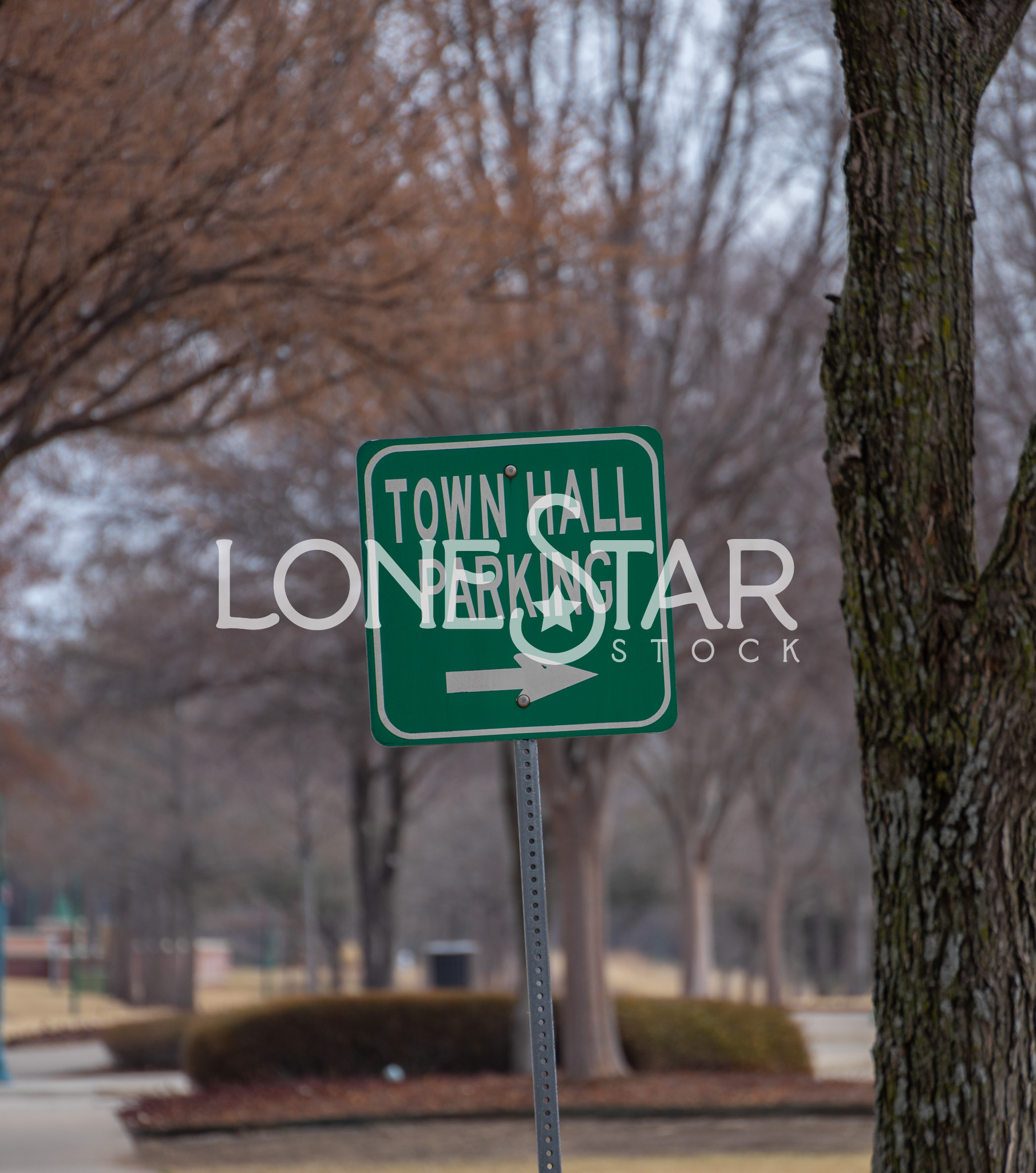 Preview of Green Town Hall Parking Street Sign in Keller, Texas with Trees in Background