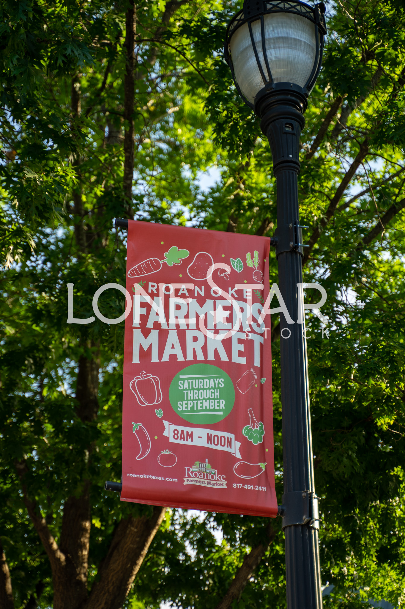 Preview of Red Roanoke Farmers Market Banner on Street Lamp in Front of Trees