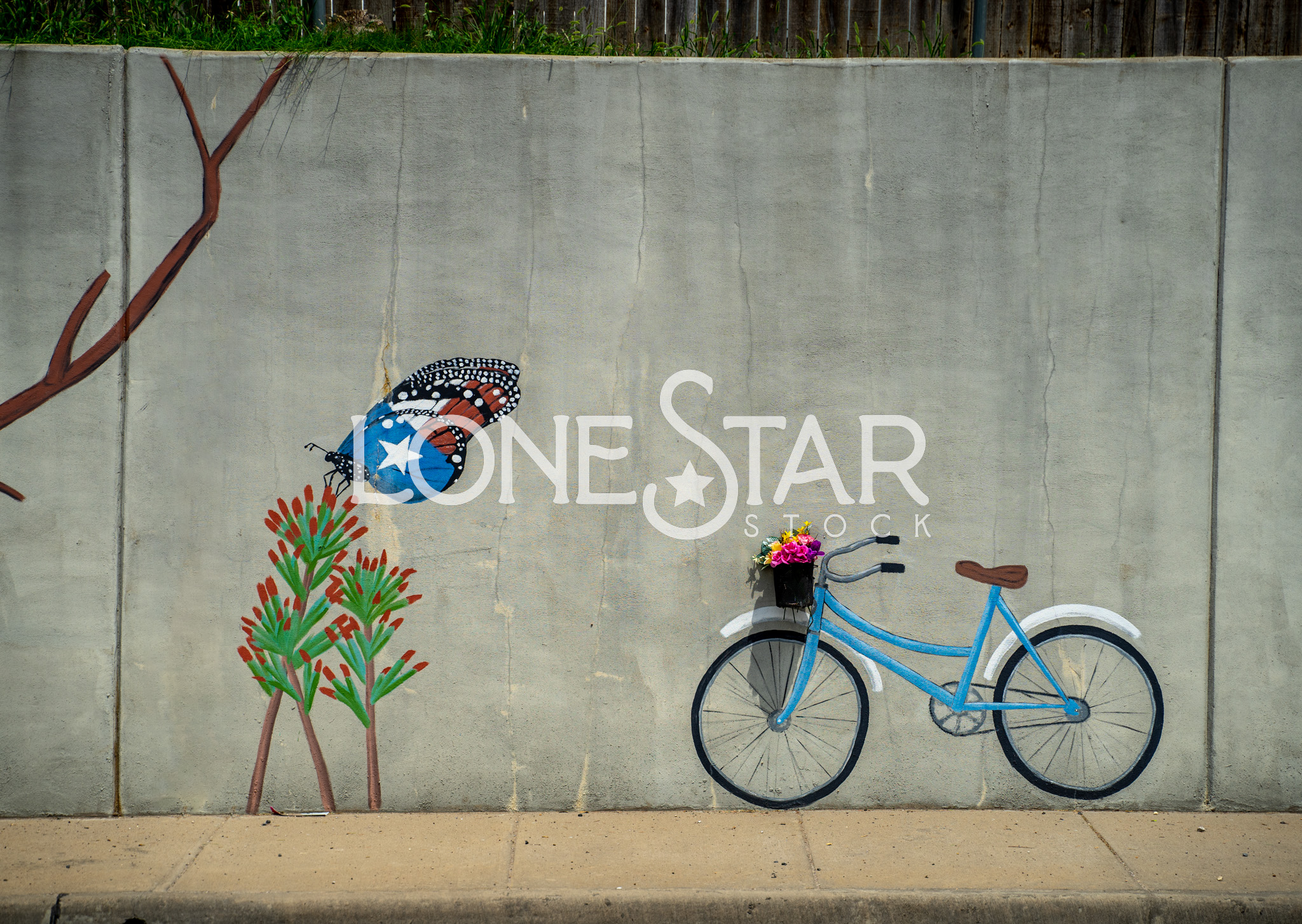 Preview of Colorful Paintings of Butterfly and Bike on Wall in Addison, TX